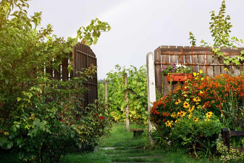 entrée en bois